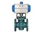 MFRS - Soft Seated Plug Control Valves
