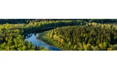 Environment Services
