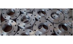 Manilaxmi - Model 304 - Stainless Steel Flanges