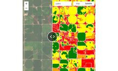 Monitoring & Management Of Croplands By AI And Satellite