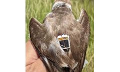 FLiteTraX - Model ULTRA 5G P1 - GPS 5G & BLE Tag 2.6g