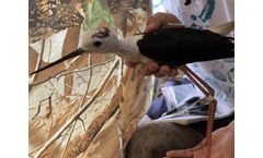 FLiteTraX - Model MINI - Small Solar Powered GPS Tag