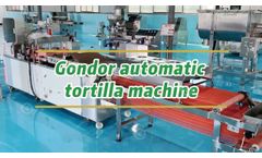 Large Automatic Commercial Taco Tortilla Machine - Video