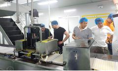 Gondor - Automatic Marshmallow Production Line Machine