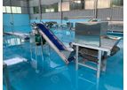 Gondor - Garlic Peeling Production Line Machine