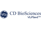 VLP Purification Service