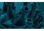 CD BioSciences - Virus-Like Particles (VLP) Plant