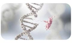 Genetic Fusion-Based VLP Modification Service