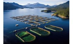 Reliable Oxygen Supply for Fish Farming & Water Treatment Application