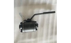 Vervo - Model 1000 PSI - Ball Valve