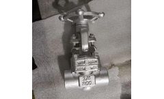 Vervo - Model ASTM A105N - Bolted Bonnet Gate Valve