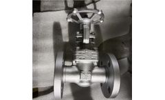 Vervo - Model API 602 - Carbon Steel Gate Valve