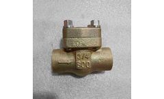 Vervo - Model ASTM B148 C95800 - Check Valve