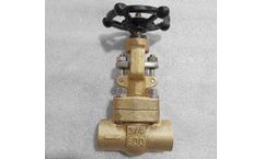 Vervo - Model ASTM B148 C95800 - Globe Valve