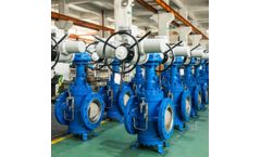 Vervo - Model API 6D - Orbit Plug Valve