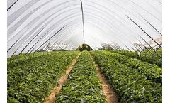 Waste-to-biochar solutions for crop farms industry