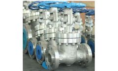 Topper - Model A351 CF8, ASME B16.34, API 600 - Stainless Steel Gate Valve