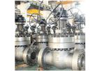 Topper - Model API 600, ASME B16.34, 1-1/2-48 Inch - Full Port Gate Valve