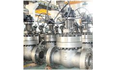 Topper - Model API 600, ASME B16.34, 1-1/2-48 Inch - Full Port Gate Valve