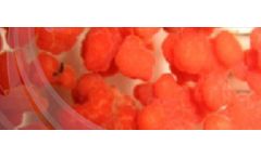 WaWaTech - Model DEMON - Deammonification Process for Nitrogen Removal