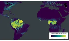 Planetary Variables - Hydrological and Biological Systems