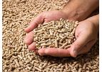 SRON - Wood Pellet Steel Silos for Storage