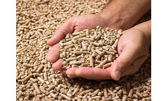 SRON - Wood Pellet Steel Silos for Storage