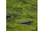 AquaGuard - Model 250 - Water Management and Remediation System
