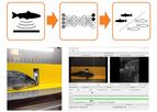InPhase - SoniFish Machine Learning Imaging Platform for Fish Examination
