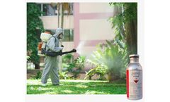 Intech - Model Zn3P2 - CAS - 1314-84-7 - Zinc Phosphide