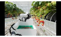 Strawberry Harvesting Robot - Introducing BERRY - Video