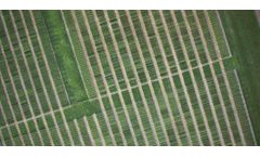 Navigating Challenges In Row Crop Breeding: How Eiwa Streamlines Data Management Efforts