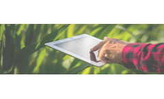 Eiwa - Professional Services