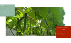 Source.ag - Centralized Greenhouse Data Management Solution for Growers