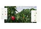 Source.ag - Source Plant App for Accurate Plant Data Collection in Greenhouses