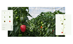 Source.ag - Source Plant App for Accurate Plant Data Collection in Greenhouses
