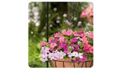 Coir Media - Organic Gardening Articles