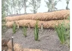 Hayleys - Coir Logs (Coir Rolls)