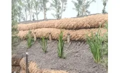 Hayleys - Coir Logs (Coir Rolls)