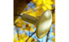 TOMST - Thermologger