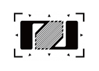 Zemic - Shear Strain Gauge