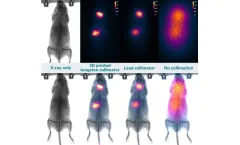 Tungsten alloy for Medical Industry