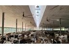 SKOV-SECCO - Lumiridge Roof System for Livestock Natural Ventilation