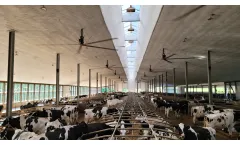 SKOV-SECCO - Lumiridge Roof System for Livestock Natural Ventilation