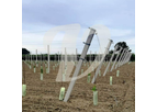 Valente - Model Espalier - Farming System with  Vertical Trunk
