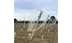 Valente - Model Espalier - Farming System with  Vertical Trunk