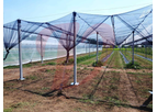 Valente - Anti-Insect System