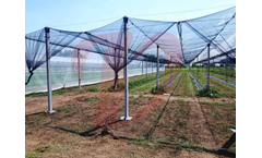 Valente - Anti-Insect System