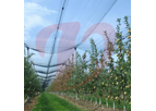 Valente - Model Spindel - Farming System