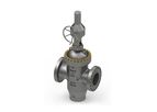 RAYS Flow Control - Parallel Slide Gate Valve for Industrial Applications